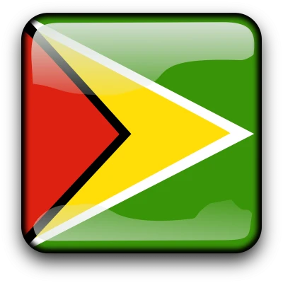 Guyana Flag Glossy Button PNG Image