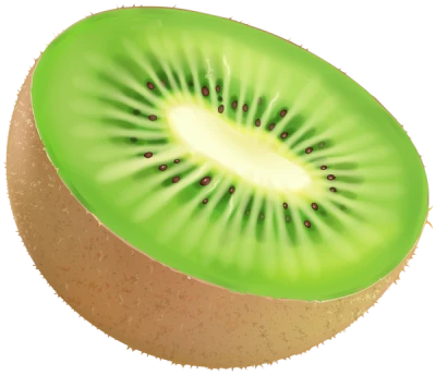 Half Fresh Green Kiwi Fruit Transparent Background