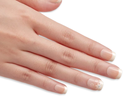 Woman Hand Floral Nail Art Manicure Transparent Background