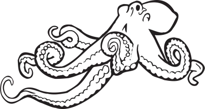 Line Art Octopus Drawing Illustration Clipart