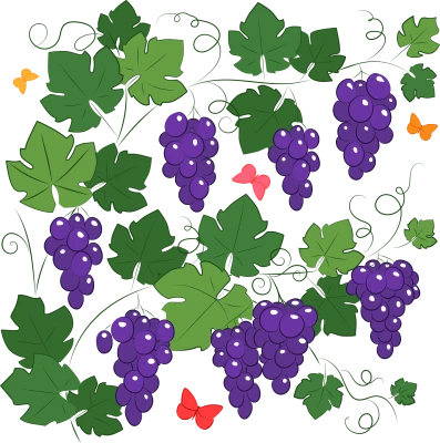 Purple Grapes on Green Vine PNG Image