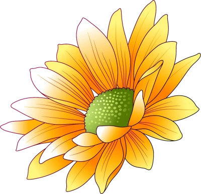 Yellow Sunflower Graphic Illustration Clipart