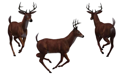 Three Running Deer Bucks Clipart