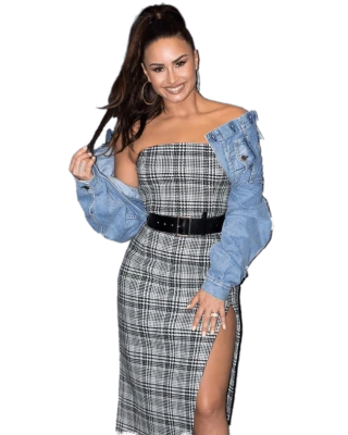 Demi Lovato Celebrity Fashion Transparent Background