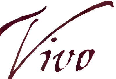Vivo Hand Drawn Text Logo Free PNG