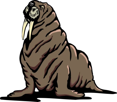 Walrus Marine Animal Vector Illustration Free PNG