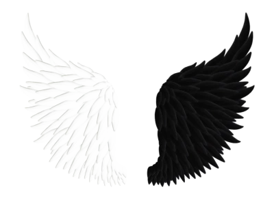 Black And White Angel Demon Wings Free PNG