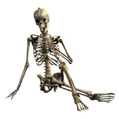 3D Sitting Human Skeleton Model Transparent Background