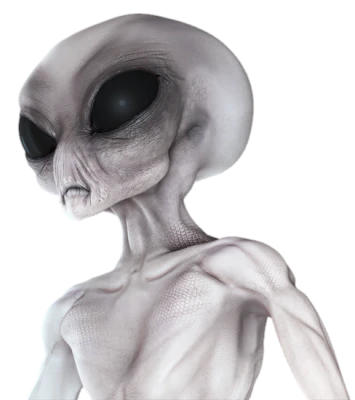 Realistic Grey Alien Extraterrestrial Bust Transparent Background
