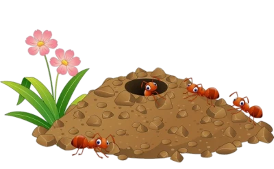 Ant Hill Colony with Flowers Illustration Transparent Background