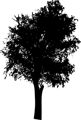 Black Tree Silhouette PNG Image