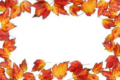 Autumn Maple Leaves Border Frame Free PNG