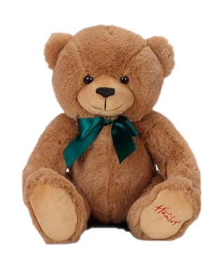 Teddy Bear with Green Bow Free PNG
