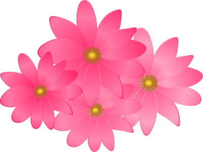 Pink Decorative Flowers Free PNG