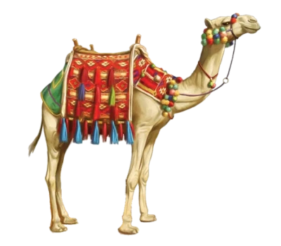 Ornate Desert Camel Free PNG