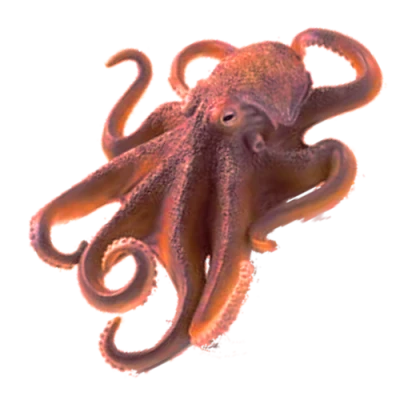 Realistic Brown Octopus Free PNG