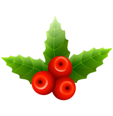 Christmas Holly Berries and Leaves Free PNG