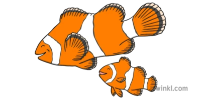 Colorful Clownfish Nemo Clipart
