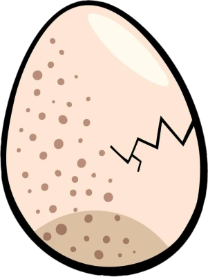 Cracked Bird Egg Illustration PNG Image