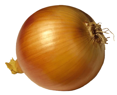 Fresh Brown Onion PNG Image
