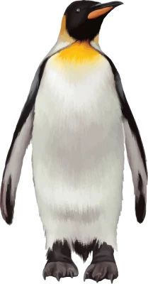 Emperor Penguin Free PNG
