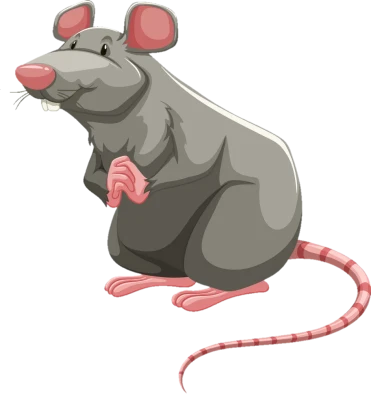 Funny Grey Rat PNG Image
