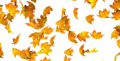 Falling Autumn Maple Leaves Clipart