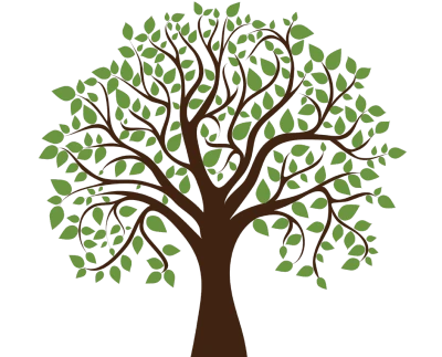 Green Tree with Leaves Free PNG