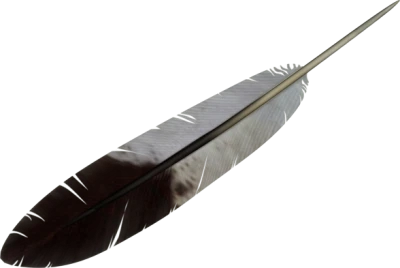 Bird Feather Brown and White Free PNG