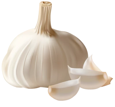 Garlic Bulb and Cloves Transparent Background