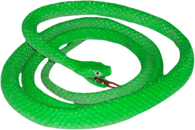 Green Toy Snake Coiled Free PNG