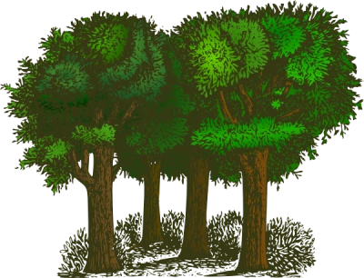Small Grove of Green Trees Free PNG