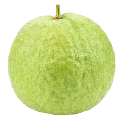 Fresh Whole Green Guava Fruit Free PNG