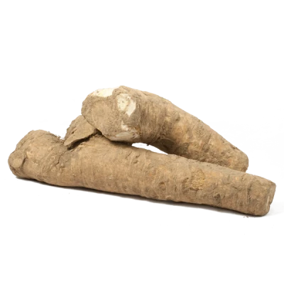 Fresh Raw Horseradish Roots PNG Image