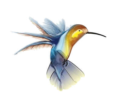 Artistic Watercolor Hummingbird Illustration Clipart