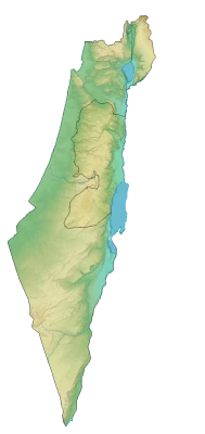 Physical Topographic Map of Israel Free PNG