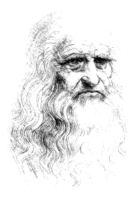 Leonardo da Vinci Sketch Free PNG
