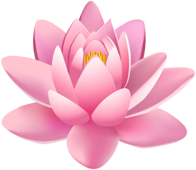 Pink Lotus Flower Free PNG