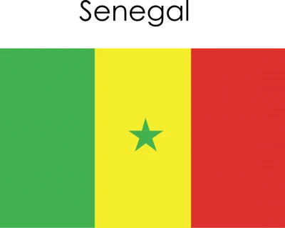 Senegal National Flag Free PNG