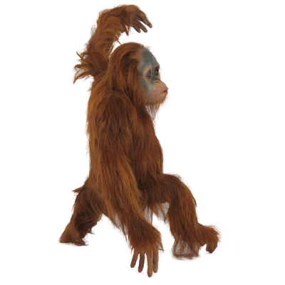 Orangutan Toy Prop Clipart