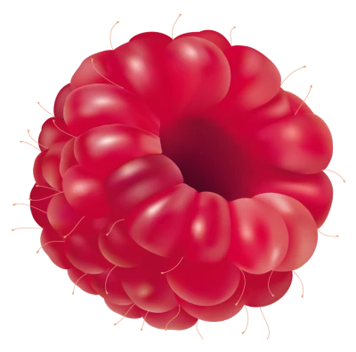 Single Ripe Raspberry Fruit Free PNG
