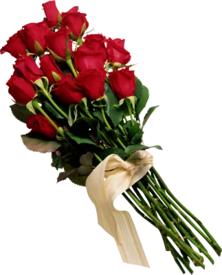 Large Bouquet of Red Roses Free PNG