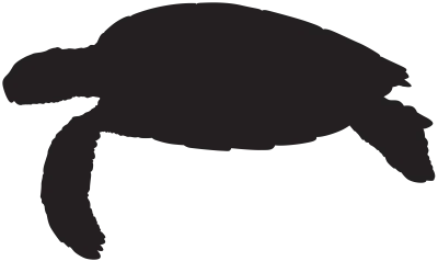 Sea Turtle Black Silhouette PNG Image