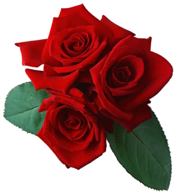 Red Roses Floral Bouquet Free PNG