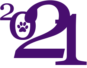 2021 Happy New Year PNG – Transparent Background 6