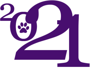 2021 Happy New Year PNG – Transparent Background 6
