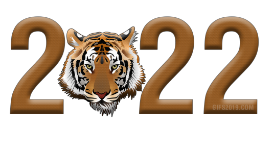 2022 Happy New Year PNG – Transparent Background 15