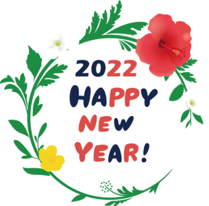 2022 Happy New Year PNG – Transparent Background 16