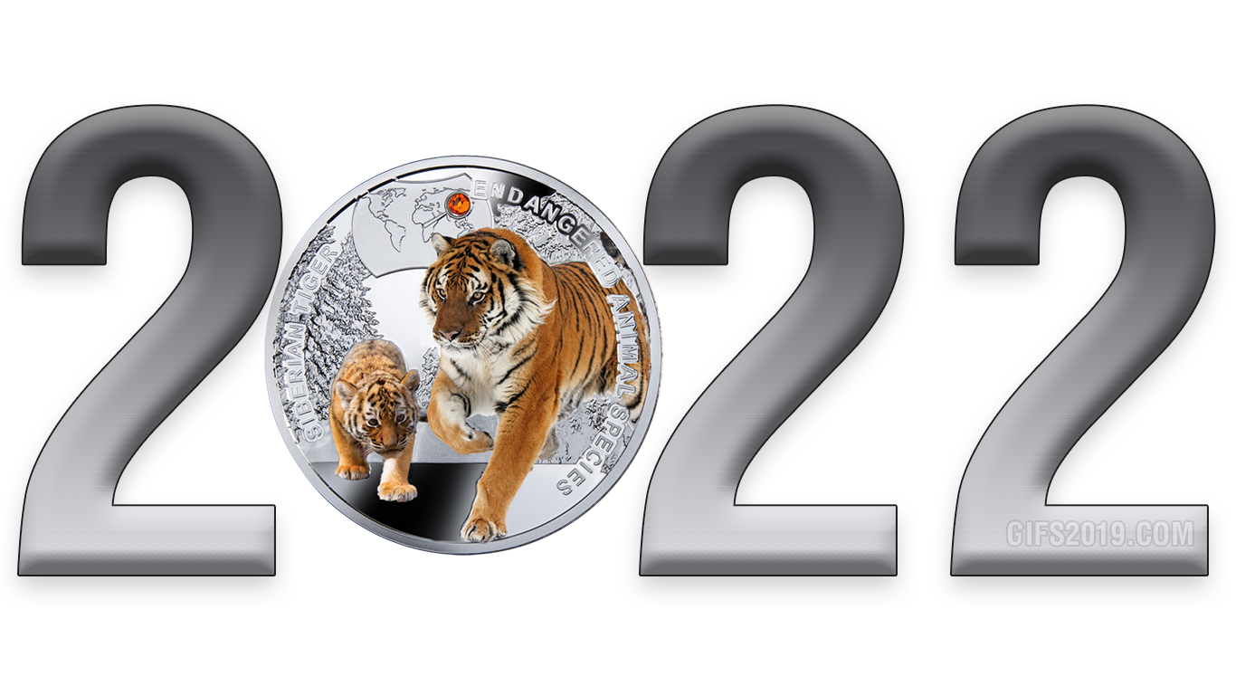 Happy New Year 2022 PNG – Festive & Decorative 3