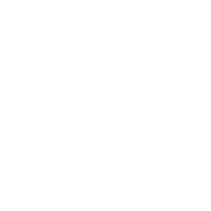 ADP PNG Logo – Transparent Background 5